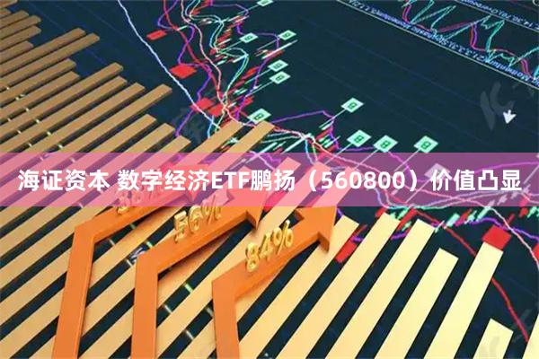 海证资本 数字经济ETF鹏扬（560800）价值凸显