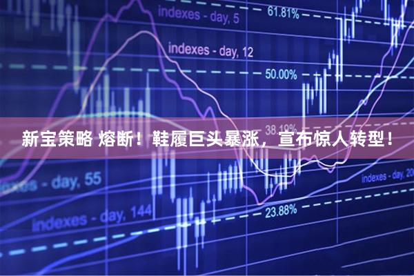新宝策略 熔断！鞋履巨头暴涨，宣布惊人转型！