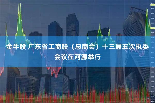 金牛股 广东省工商联（总商会）十三届五次执委会议在河源举行