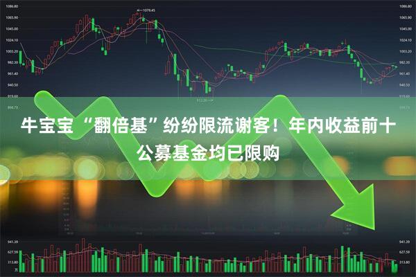 牛宝宝 “翻倍基”纷纷限流谢客！年内收益前十公募基金均已限购