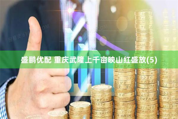 盛鹏优配 重庆武隆上千亩映山红盛放(5)
