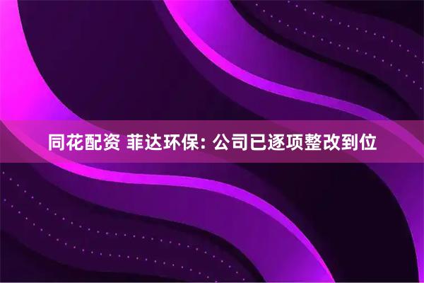 同花配资 菲达环保: 公司已逐项整改到位