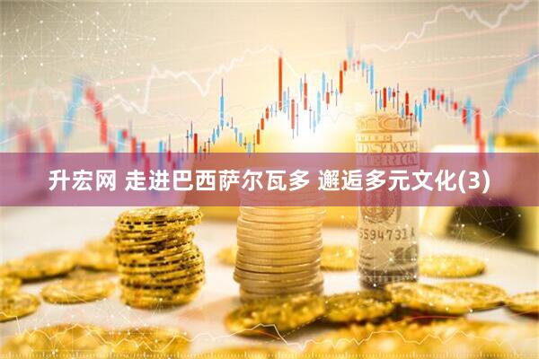 升宏网 走进巴西萨尔瓦多 邂逅多元文化(3)